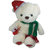 Tickles Teddy With Cap Teddy Bear Gift Soft Plush Toy Love Friendship