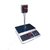CAS Digital Weighing Scale 30 Kg x 1g. Smart, Simple, Sleek and attractive.