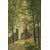 Vitalwalls Landscape Painting Canvas Art Print (Landscape-357-45Cm)