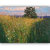 Vitalwalls Landscape Painting Canvas Art Print (Landscape-298-30Cm)