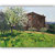 Vitalwalls Landscape Painting Canvas Art Print (Landscape-318-F-45Cm)
