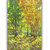 Vitalwalls Landscape Canvas Art Print on Wooden Frame (Landscape-241-F-30cm)