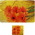 E-Retailer Stylish Orange Flowers Design Table Mates (set of 6 Pcs.)