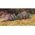 Vitalwalls Landscape Painting Canvas Art Print (Landscape-533-45Cm)