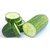 Seeds-15 Hybrid High Yield Green Cucumber For Terrace Kitchen Gardening