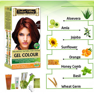 Buy Indus valley Halal Natural Hair Color Burgundy 3 6 Buy Indus valley Halal Natural Hair Color Burgundy 3 6