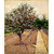 Vitalwalls Landscape Canvas Art Print On Pure Wooden Framelandscape-435-F-60Cm
