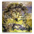 Vitalwalls Landscape Painting Canvas Art Printon Wooden Frame Scenery-274-F-45cm