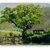 Vitalwalls Landscape Premium Canvas Art Print.Scenery-059-60cm