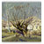 Vitalwalls Landscape Canvas Art Print, on Wooden FrameScenery-062-F-30cm