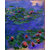 Vitalwalls Landscape Painting Canvas Art Printon Wooden Frame Scenery-357-F-45cm