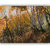 Vitalwalls Landscape Painting Canvas Art Printon Wooden Frame Scenery-363-F-45cm