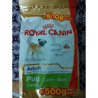 bevel verloving reptielen Royal Canin Pug Adult 500g + 500g Free Gratis
