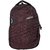 American Tourister Zookie Brown Laptop Backpack