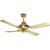 Havells Florence 4 Blade Ceiling Fan (Nickel Gold)