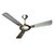 Havells Areole 3 Blades (1200 Mm) Ceiling Fan (Mist Honey)