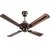 Havells FHCFCSTBAC48 Florence 1200 mm Ceiling Fan (Black Copper)