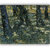 Vitalwalls Undergrowth Canvas Art Print On Pure Wooden Framelandscape-472-F-30Cm