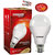 Eveready 14W Led Bulb 6500K Cool Day Light with free 2 Eveready battery
