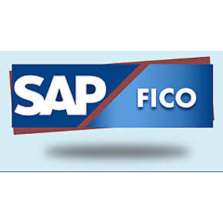 Buy SAP FICO Video TUTORIAL Online @ ₹5000 from ShopClues