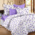 Bedspun 100 Cotton White 1 Double Bedsheet With 2 Pillow Cover-Mg1415-Bs