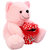 DealBindaas Marshy Bear Valentine Soft Toy Pink 30 Cms.  Specifications  Brand