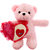 DealBindaas Skoda Bear w/Heart Valentine Soft Toy 30 cms Pink