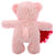 DealBindaas Skoda Bear w/Heart Valentine Soft Toy 30 cms Pink