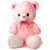 Pink Pretty Sitting Teddy Bear