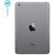Apple iPad Mini 2 Retina 16 GB WiFi - (6 Months Brand Warranty)