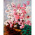 Vitalwalls Still Life Painting Canvas Art Print. Static-157-30cm
