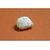 real pearl basra moti 6.10 carate gemstone moon  keshi pearl