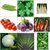 Seeds-Combo Pack Of 20 Hybrid Vegetable For Terrace And Kitchen Gardening