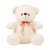 Rajnish Recova Teddy Bear 25 Cm For Kids
