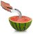 Watermelon corer  server