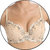 Nicely Floral Print Skin Coloured Soft Padded Plus Size D Cup Bra
