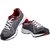 SX0213G SPARX Men Sports (SX-213 Grey and Red)