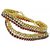 The Pari Multicolor Alloy Gold Plated Pair Of Anklets For Women