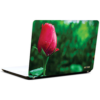 Pics And You Blossom In Vogue 3M/Avery Vinyl Laptop Skin Sticker Decal- FL073
