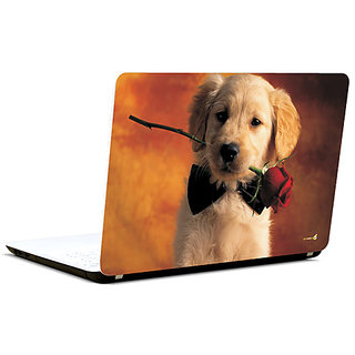 Pics And You Will You Date Me 3M/Avery Vinyl Laptop Skin Decal-FN017