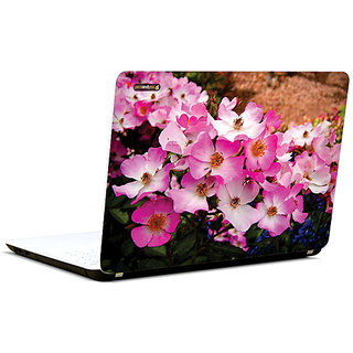 Pics And You Posh Pinks 3M/Avery Vinyl Laptop Skin Sticker Decal - FL045
