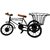 Wrought Iron Small Miniature Flower Rickshaw Home Decor, 12 Inches