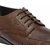 Lee Cooper Mens Brown Formal Shoes
