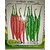 Seeds-Green Chilli Pack Of 2