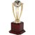 Frontfoot Sports FTK Cricket World Cup 19 - A (38.75 cm) Trophy