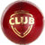 sg club red leather  cricket ball