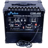 PALCO Cube 40 bass Guitar Amplifier