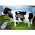 Milk Cow Walk Light Sound Real Look Battery Operated Kids Toy