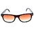 Derry Sunglasses in Wayfarer style In Brown DERY101