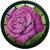 AE World Purple Rose Wall Clock (With Glass)